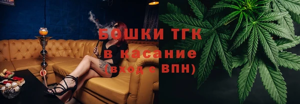 прущие грибы Сосновый Бор