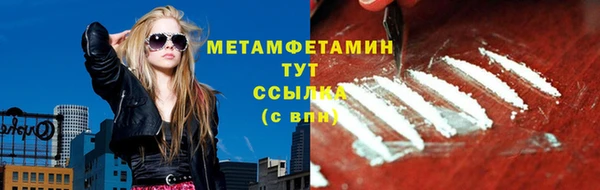 прущие грибы Сосновый Бор