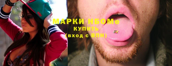 прущие грибы Сосновый Бор