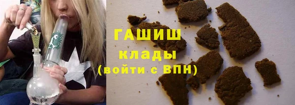 прущие грибы Сосновый Бор