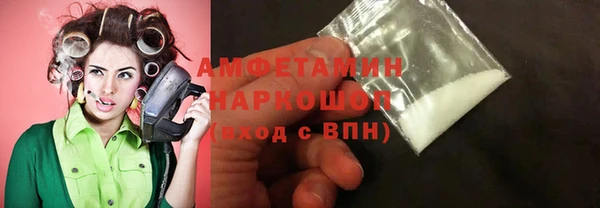 прущие грибы Сосновый Бор