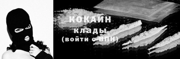 прущие грибы Сосновый Бор