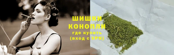дживик Сосновоборск