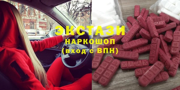 прущие грибы Сосновый Бор