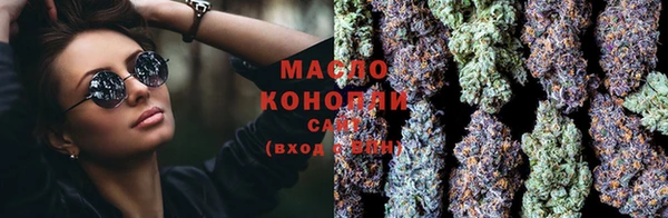 прущие грибы Сосновый Бор