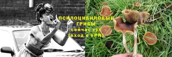 apvp Сосновка