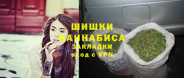 дживик Сосновоборск