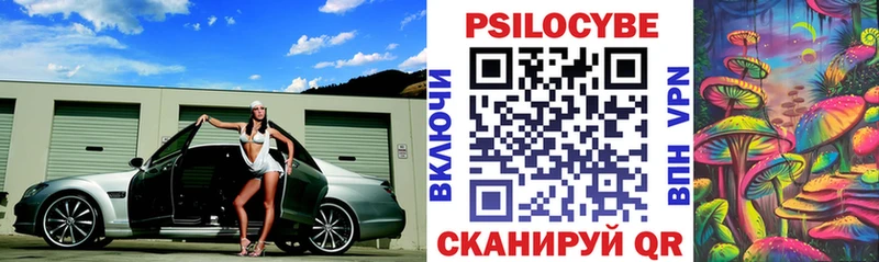 Псилоцибиновые грибы Psilocybine cubensis  Купить закладки  Михайловка 